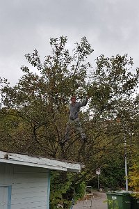 20201017_152253