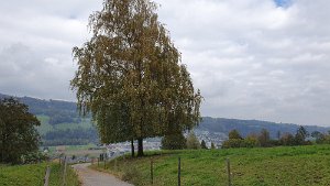 20201018_133954