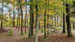 20201027_112722