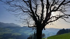 20201108_143952