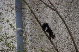 IMG_6135 unsere Nachbarn