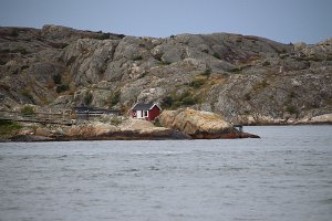 IMG_3967