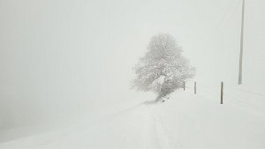 20240107_150503