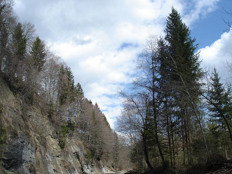 DSC03942.JPG