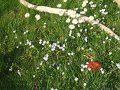 DSCF3885