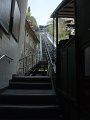 DSCF3923