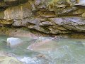 IMG_2459
