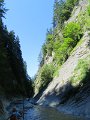 IMG_2462