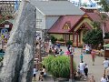 IMG_2495