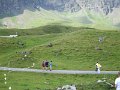 IMG_2536