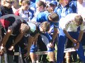 IMG_5347