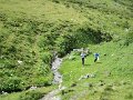 IMG_5378