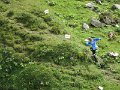 IMG_5379