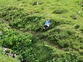 IMG_5381