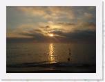 DSC00867 * 2592 x 1944 * (1.91MB)