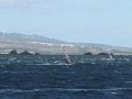DSCF2982
