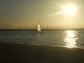 DSCF3110