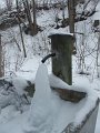 DSCF3615