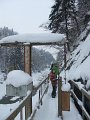 DSCF3633
