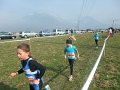 DSCF3771