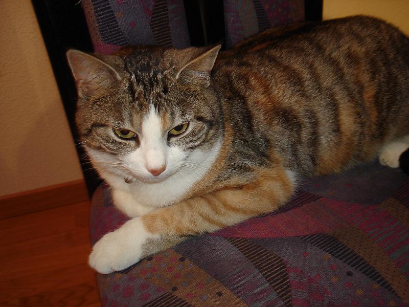 DSC03676.JPG