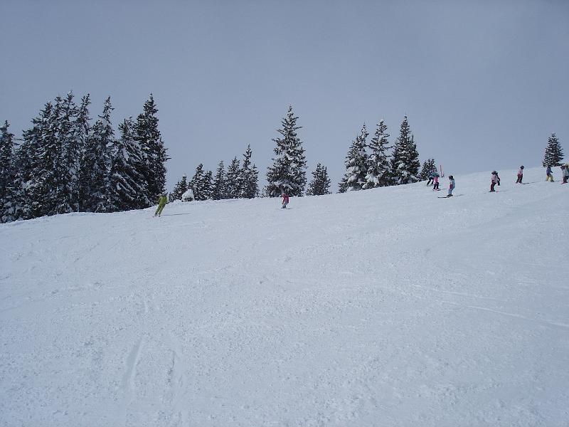 DSC05439.JPG