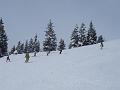 DSC05440