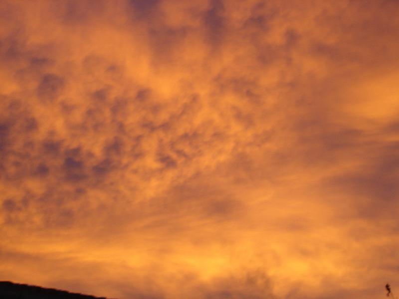 DSC05388.JPG