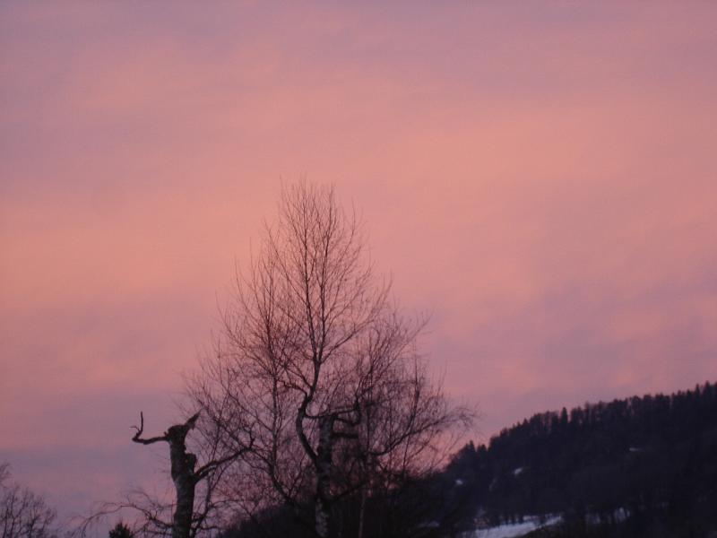DSC05391.JPG