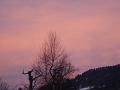 DSC05391