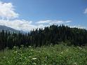 DSCF0984