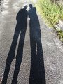 DSC00347