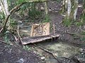 DSCF4227