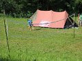 IMG_2186