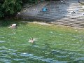 IMG_2307