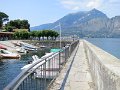 IMG_2318