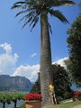 IMG_2324