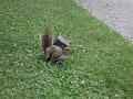 IMG_2328