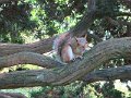 IMG_2330