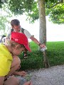 IMG_2337