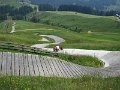 IMG_2102