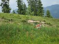IMG_2104