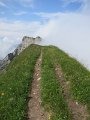 IMG_2198