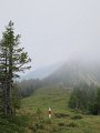 IMG_2200