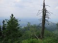 IMG_2225