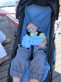 IMG_2247