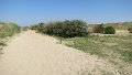 IMG_5167