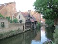 IMG_5225