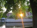 IMG_5246