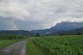 IMG_4933